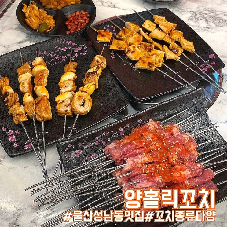  울산 중구 성남동 신상 맛집/가성비 양꼬치가 다양한 양홀릭꼬치!