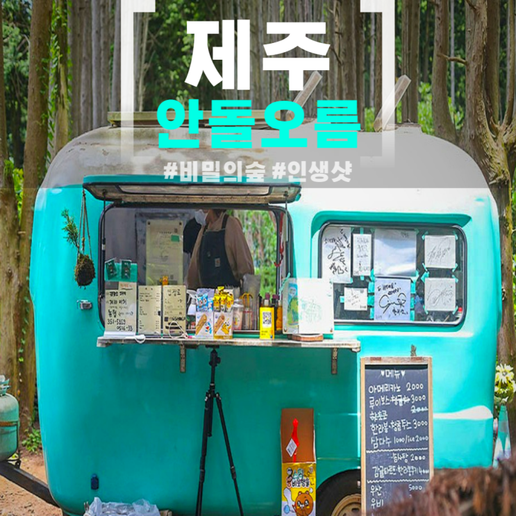  제주 안돌오름 비밀의숲 주차장 제주도 동쪽 여행지 볼거리 꽃 명소