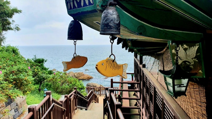  양양여행 필수코스 낙산사, 기가막힌 풍경들과 주차팁 입장료 그리고 주변 막국수 맛집 메밀꽃향기