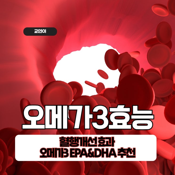  오메가3 효능 혈행개선 효과 솔가 오메가3 EPA&DHA 필수영양제 추천 ft. 먹는시간