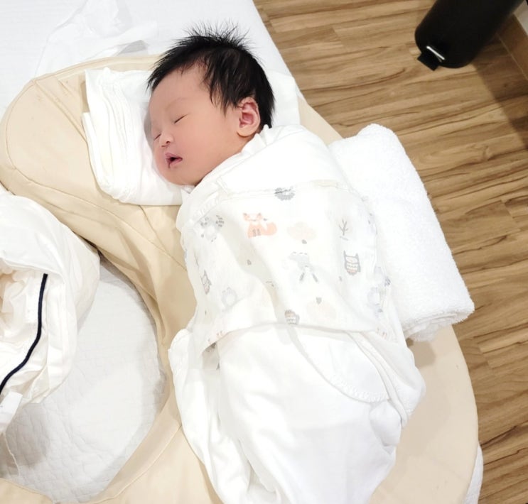  완모냐 완분이냐 혼합이냐 그것이문제로다(모유/분유 장단점 비교)