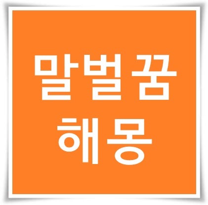 말벌꿈 해몽 말벌을 보는 꿈 쏘이는 꿈 죽이는 꿈 잡는 꿈 나오는 꿈 장수말벌꿈