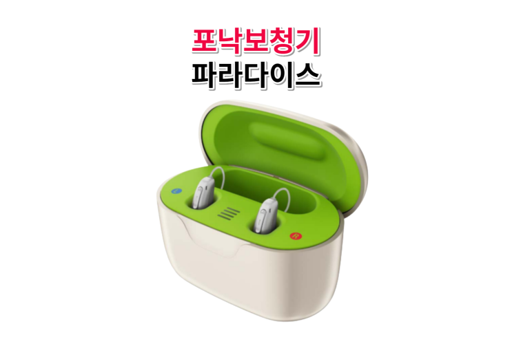  블루투스 충전식보청기 6개월 착용 후기 안했으면 후회?