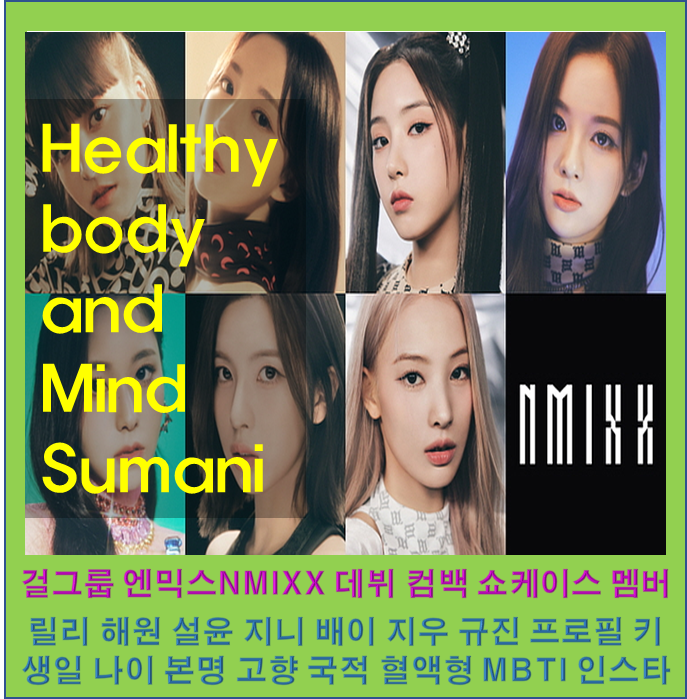 걸그룹 엔믹스NMIXX 데뷔 컴백 쇼케이스 릴리 해원 설윤 지니 배이 지우 규진 프로필 생일 나....