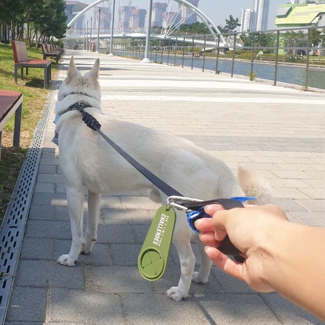 강아지 산책 중 배변봉투는 풉링에 맡겨두세요