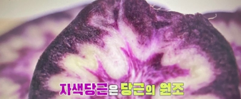 자색당근 효능 , 풍부한 영양성분