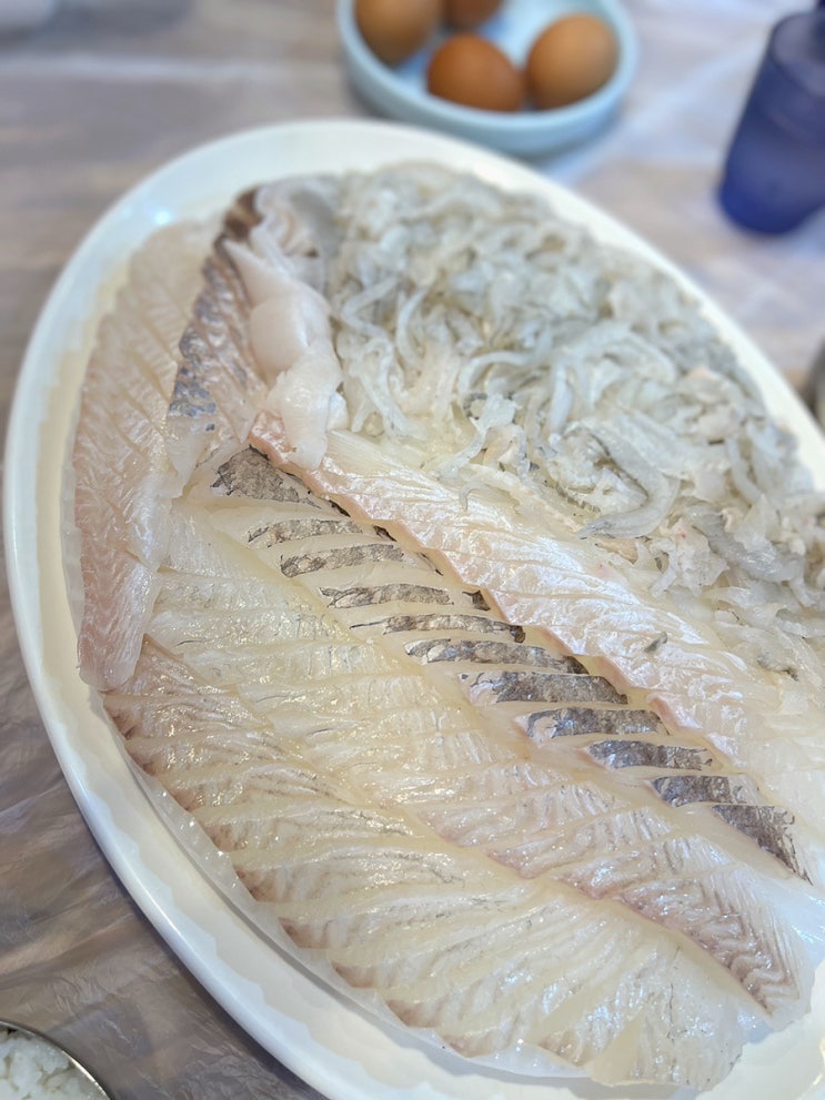  강릉 럭키활어회센타 - 씨마크호텔 근처 회포장 전문 현지인 세꼬시회 맛집 회센터
