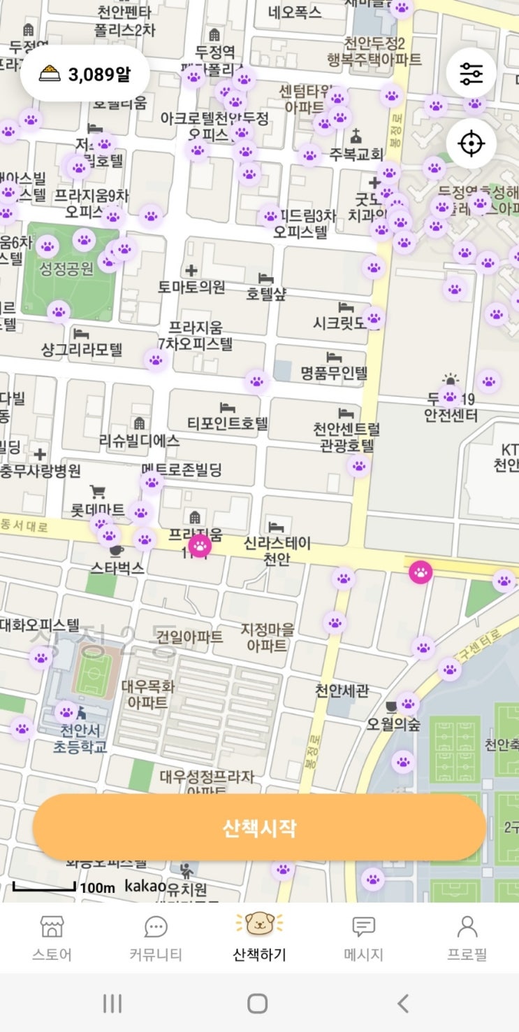  산책 하며 강아지 친구도 만들고 유기견 센터 에 기부 봉사도 할 수 있는 강아지도 보호자도 즐거운 산책시간 반려견 산책어플 피리부는강아지