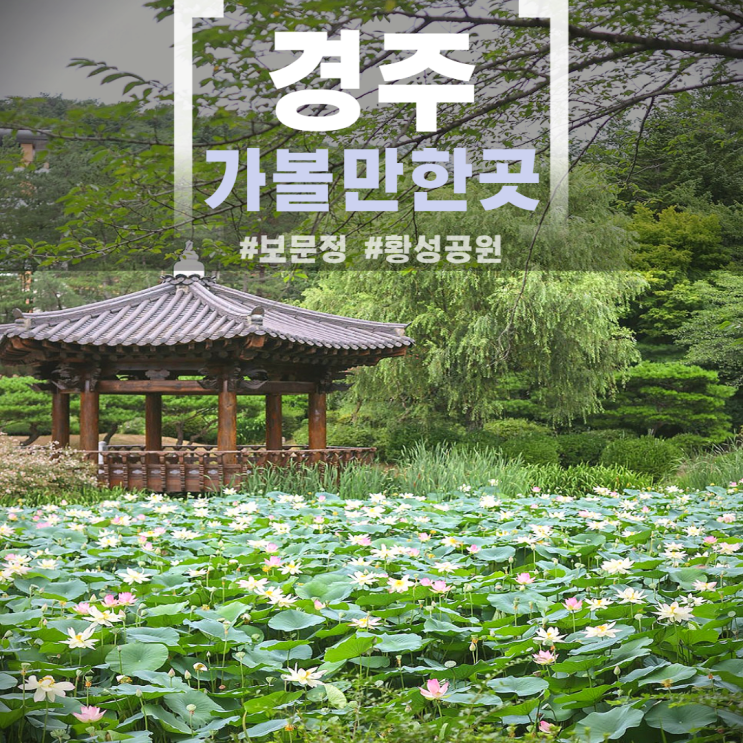 경주 갈만한곳 보문정 연꽃 황성공원 맥문동 물놀이장 볼거리 산책로