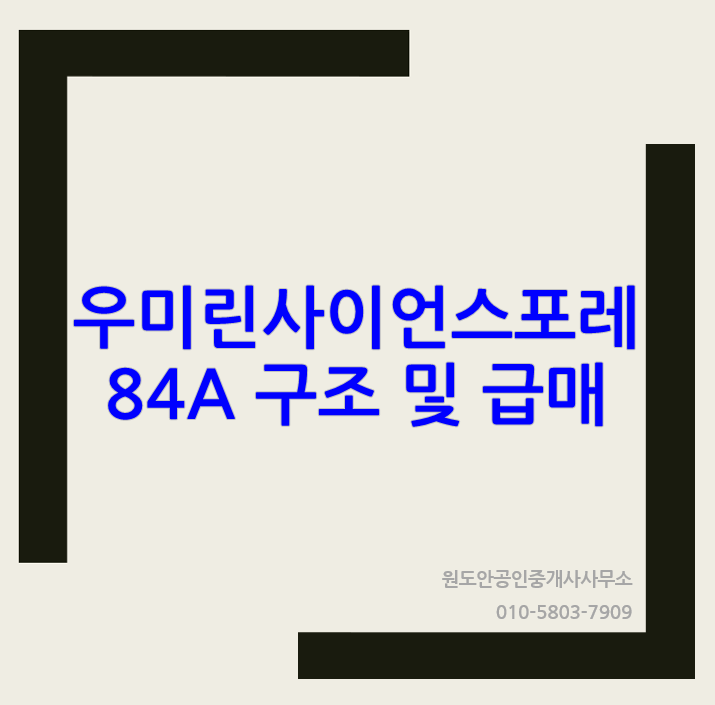  대전 유성 둔곡지구 우미린사이언스포레 84A 급매