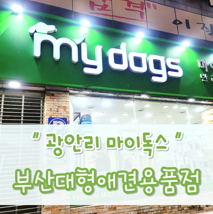  부산애견용품 엄청많아서 한번 들어가면 나올수 없다는 광안리 '마이독스'