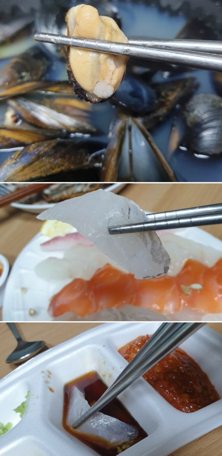  구미 포항회수산 모듬회