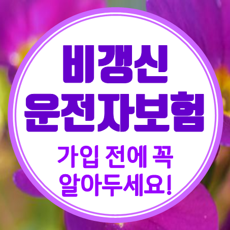  비갱신운전자보험 가입 시 알고 있으면 도움 되는 부분들을 나름대로 정리해 봤다.