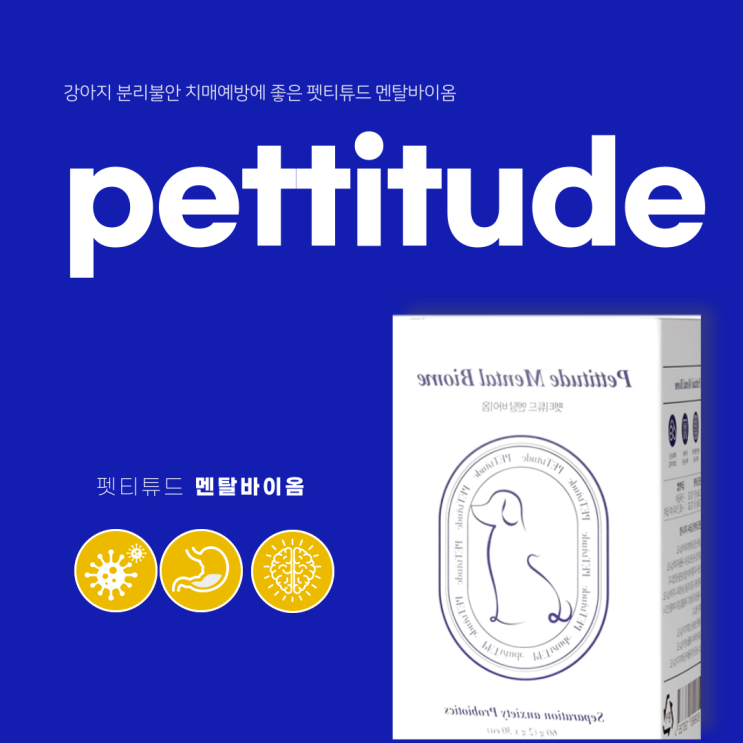  펫티튜드 멘탈바이옴 분리불안 치매예방 미리미리