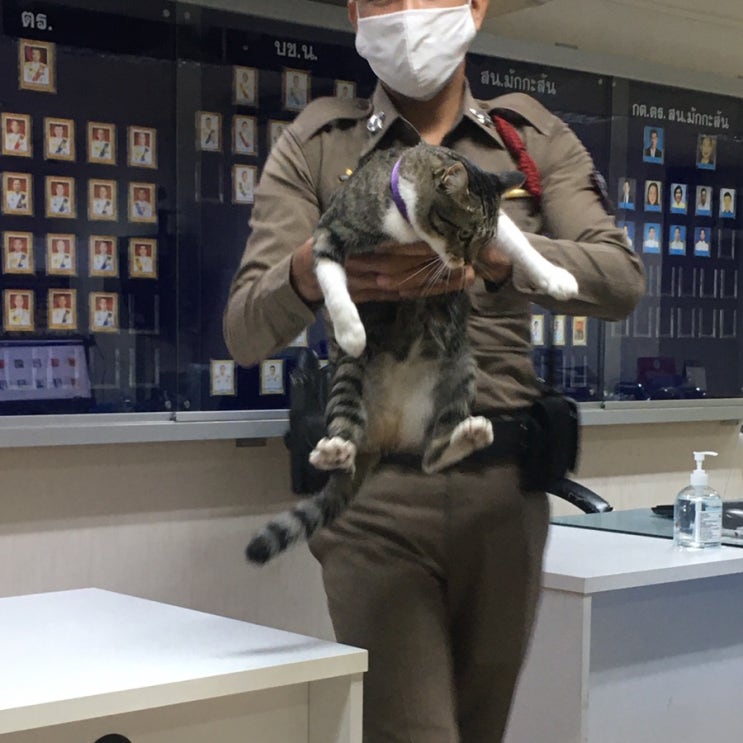  태국 경찰서갔다가 카오산로드행 (해외서 휴대폰 도난시 대처)