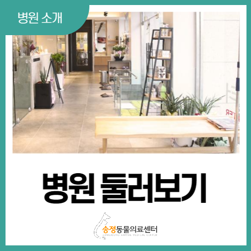 경기 광주 송정 동물병원 시설과 장비 둘러보기 (연중무휴)