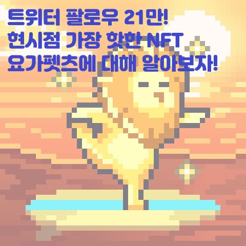  현시점 가장 뜨거운 관심을 받는 W2E NFT 요가펫츠! 트위터 팔로워 21만 W2E YogaPetz 밈랜드