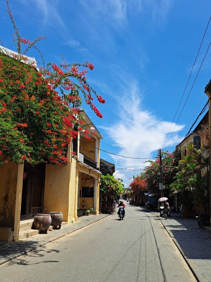 베트남 호이안 올드타운 산책 코끼리바지 쇼핑 쨍한 날씨