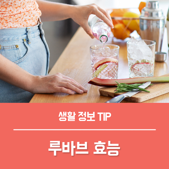  루바브 효능 4가지, 대황 먹는법
