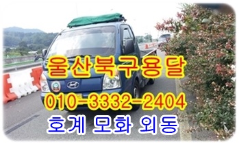 울산북구용달 모화 외동 운송.