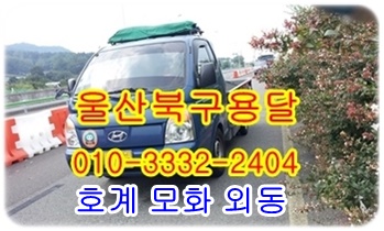 울산북구용달 모화 외동 운송. 울산북구용달 모화 외동 운송.