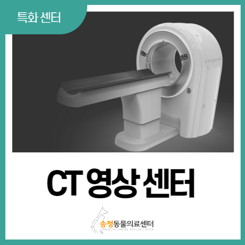  [CT영상센터] 반려동물 전용 CT로 보다 정밀한 진료 가능 (Myvet CT i3D)