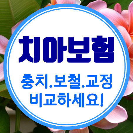  아이치아보험 비교할 때 치아교정치료 되는 회사를 추천해 달라고 말하면 된다.