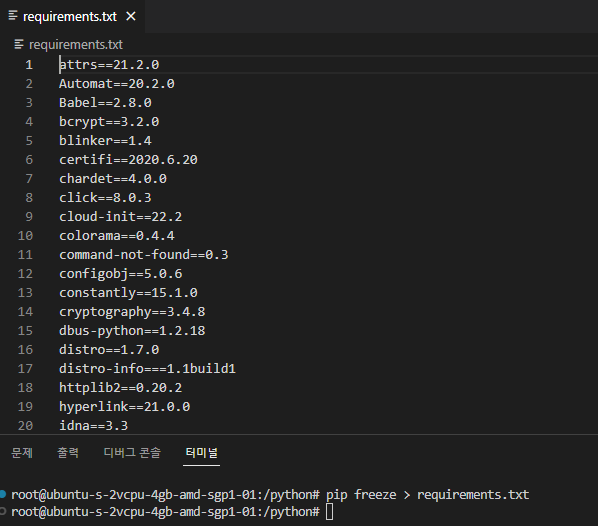[Python] requirements.txt를 활용한 패키지 관리
