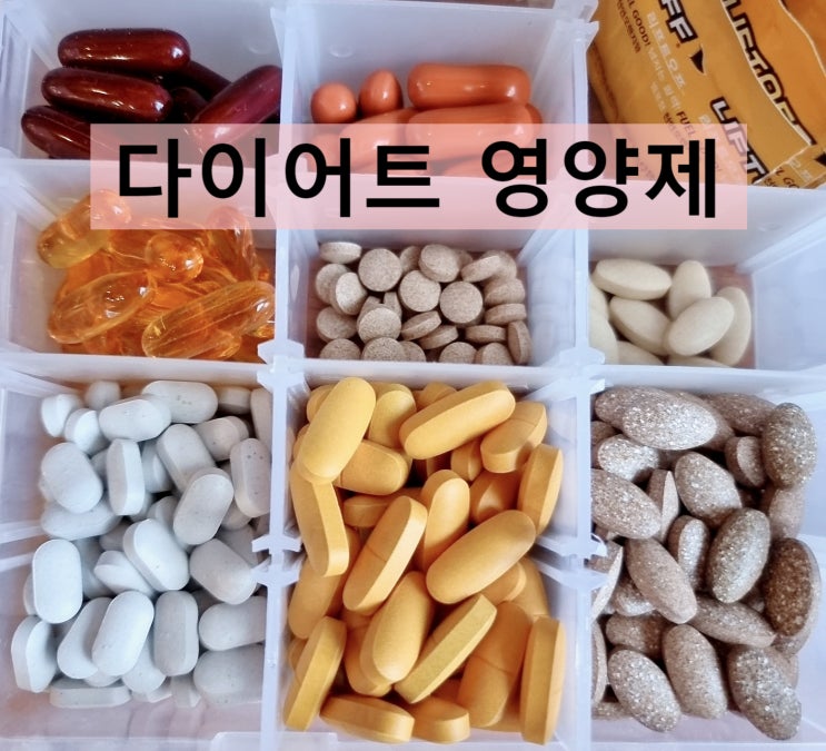  다이어트할 때 필요한 영양제