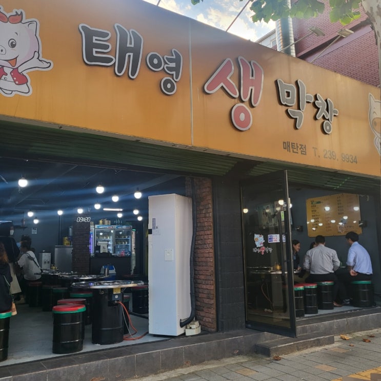  수원 태영 "생"막창집 매탄점 후기(생막창,항정살)