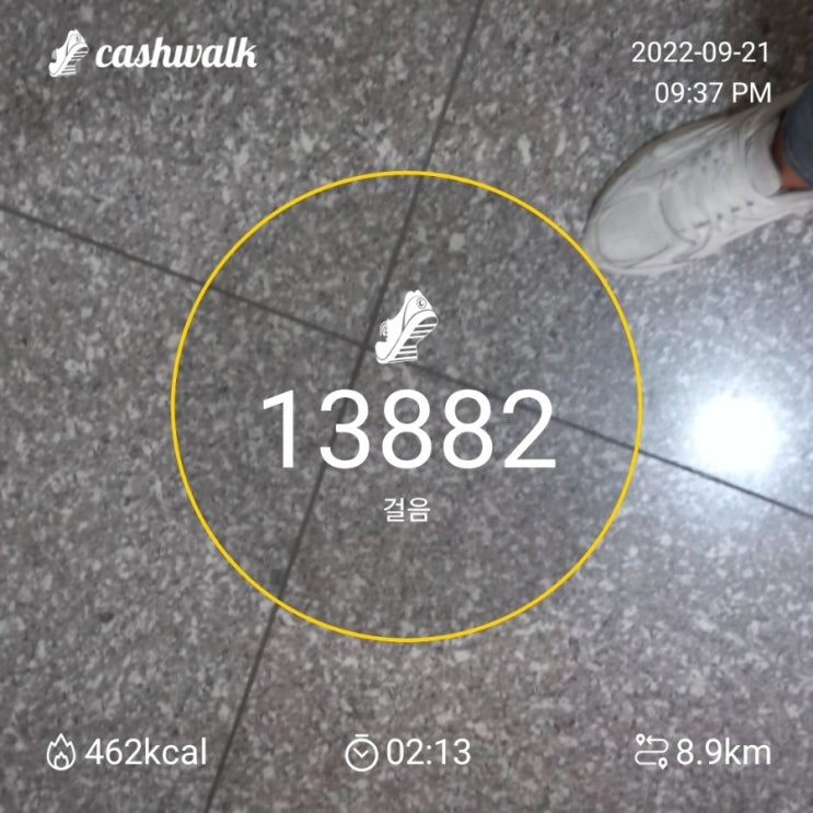  일주일째 만보 성공️ㅎㅎ