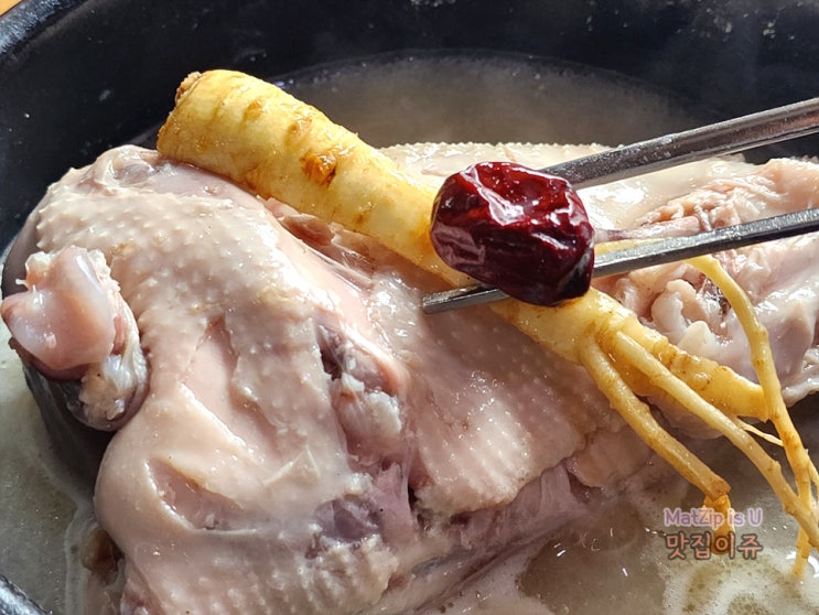  대전 유성 전민동삼계탕 맛집 한방삼계탕, 카페 인시티커피 로스터즈 후기