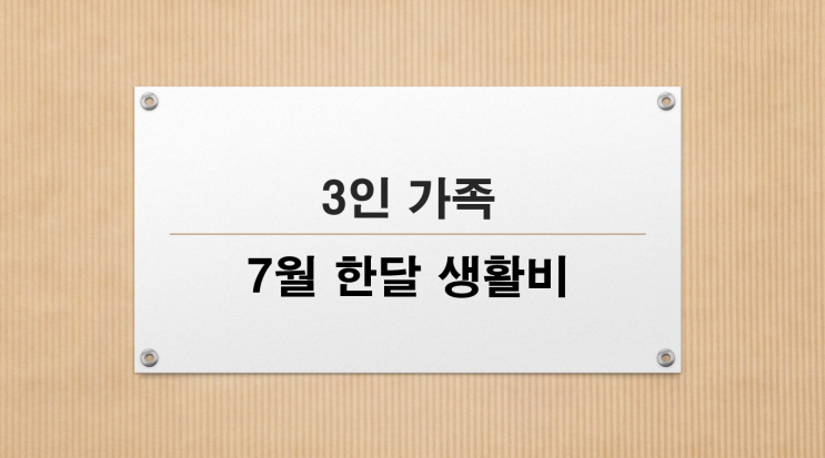  3인 가족, 7월 생활비 공개