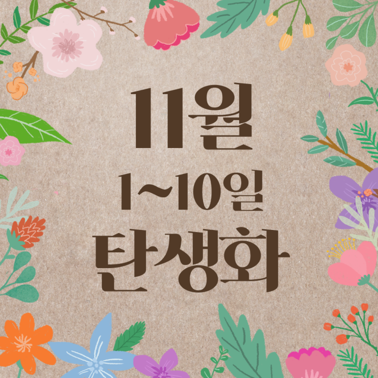  [11월 탄생화 1~10일] 꽃말과 저작권 프리 사진 : 1일, 2일, 3일, 4일, 5일, 6일, 7일, 8일, 9일, 10일