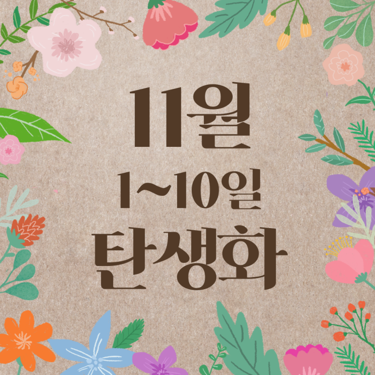 [11월 탄생화 1~10일] 꽃말과 저작권 프리 사진 : 1일, 2일, 3일, 4일, 5일, 6일, 7일, 8일, 9일, 10일