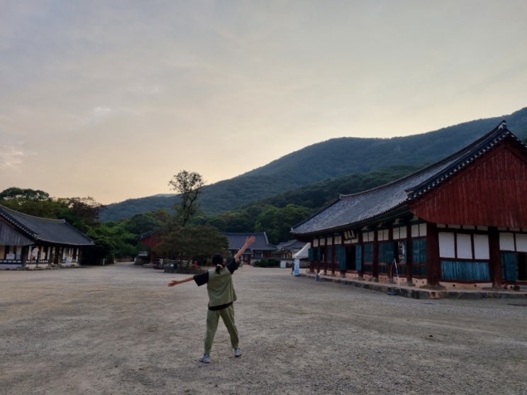  주간일기챌린지10