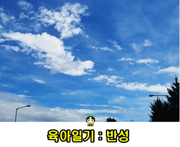  반성