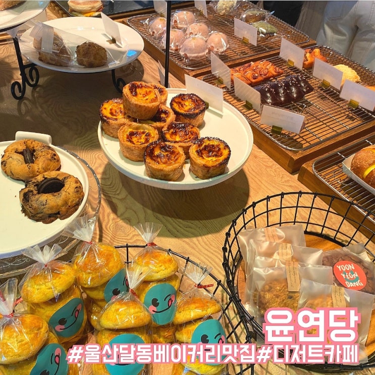  울산 남구 달동 디저트 카페/다양한 빵 종류가 있는 유명 맛집 윤연당!