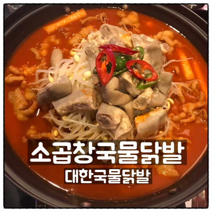  대한국물닭발 대전 닭발맛집 소곱창국물닭발 갈마동맛집 맛 후기