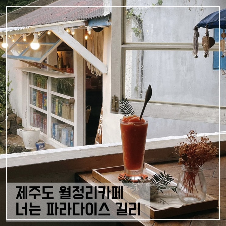  제주도 월정리카페 너는 파라다이스길리; 제주동쪽카페 추천