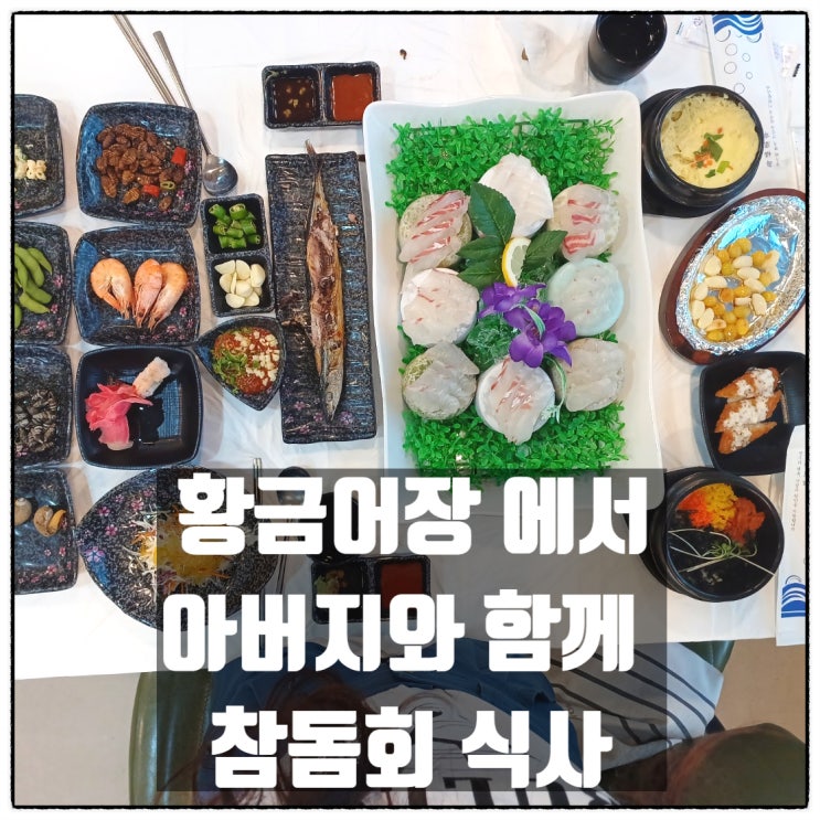 대전 와동 맛집 대덕구 횟집 황금어장에서 아버지와 함께 맛있는 참돔회 즐기고 오다