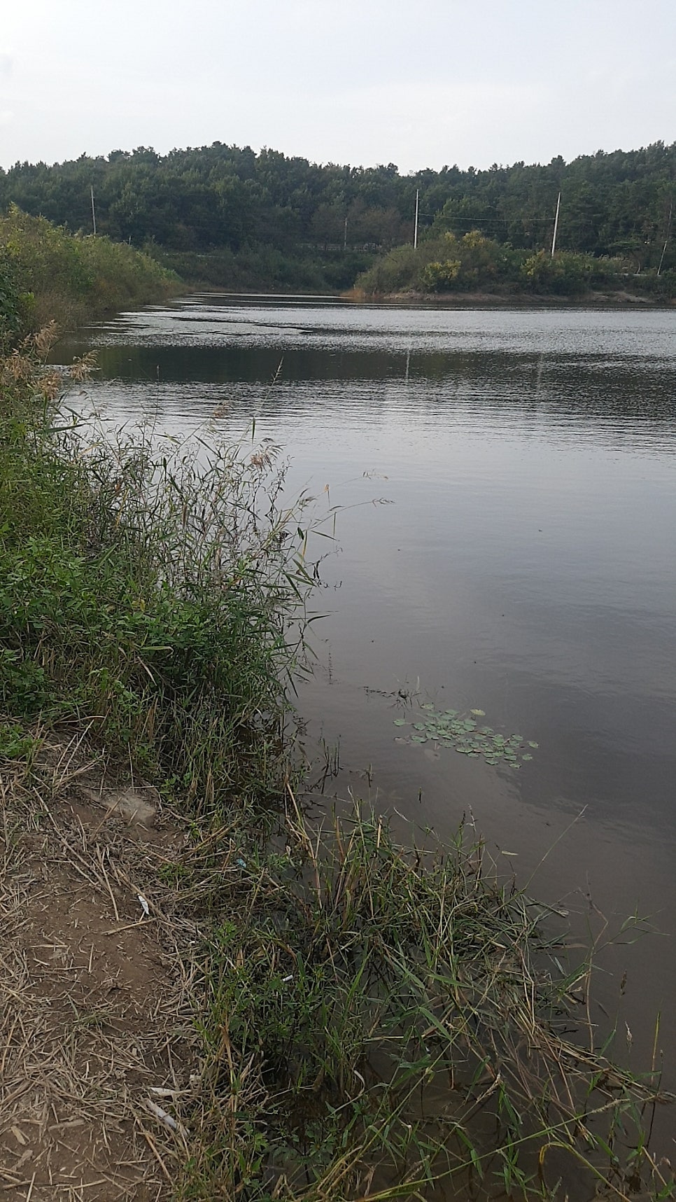 Samgwimot photo 3