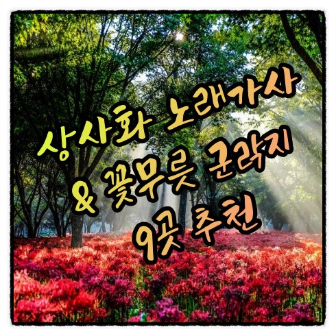  800만 뷰 임영웅 찡한 상사화 가사 ㅣ 꽃무릇 축제와 군락지 9곳 추천