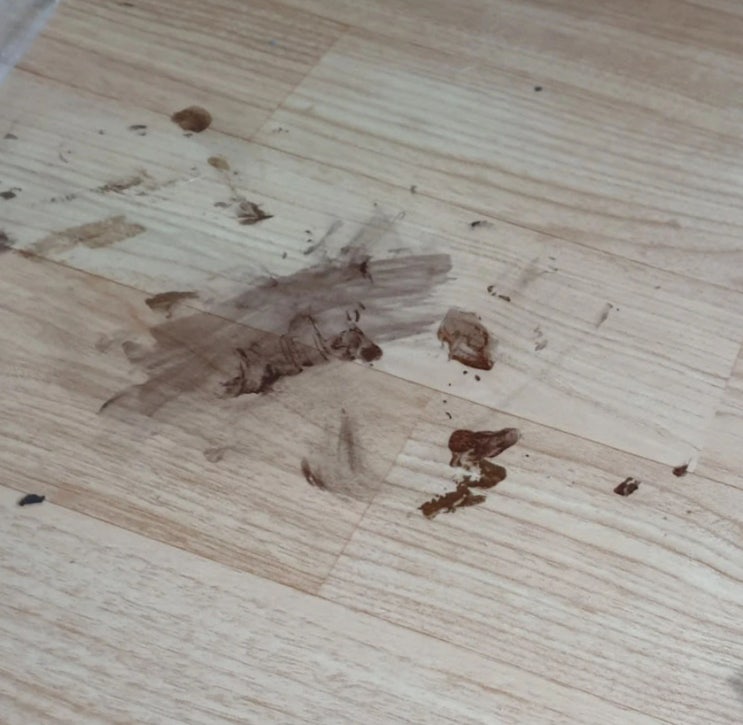  얼굴, 바닥, 장판 염색약 지우는 법