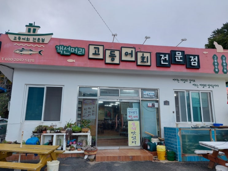 욕지도 고등어회 맛집 객선머리식당 고등어회 전문점 욕지도 고등어회 맛집 객선머리식당 고등어회 전문점
