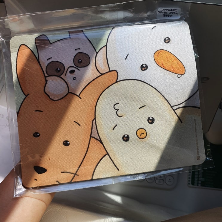  [대학원탈출일지]덕심으로 처음산 웹툰 굿즈 마우스패드 샀지롱