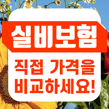  60세 실비보험 가격 계산 후 싼 회사를 골랐지만 이게 전부는 아니었다.