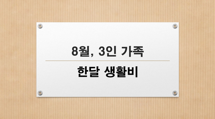  8월, 3인 가족 한달 생활비 공개
