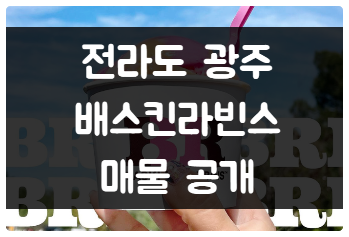 광주 배스킨라빈스 창업 양도양수로 시작하세요 (매물 공개) 광주 배스킨라빈스 창업 양도양수로 시작하세요 (매물 공개)