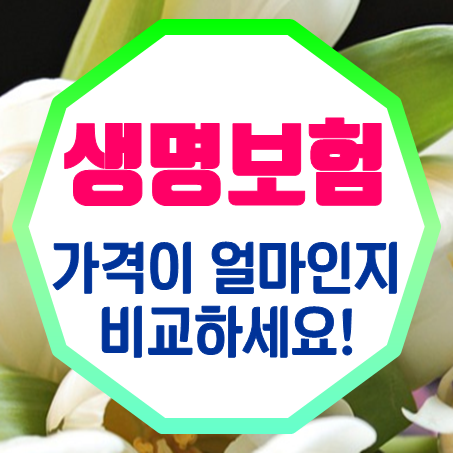  생명보험가격 얼마인지 비교 후 상황에 맞춰 가입해야 한다.